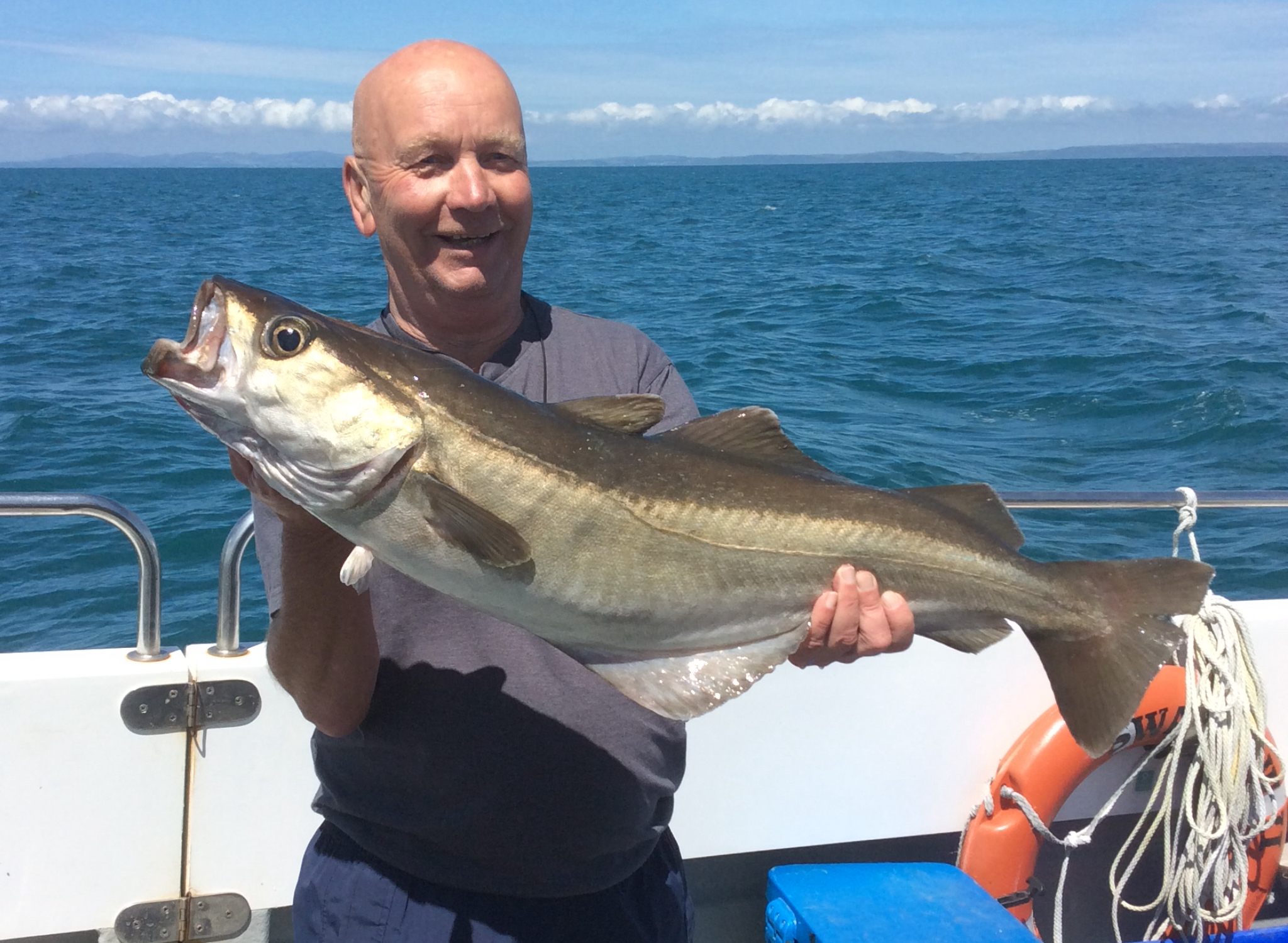 species-of-local-sea-fish-in-cornwall-chartered-trips